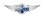 Morgan logo